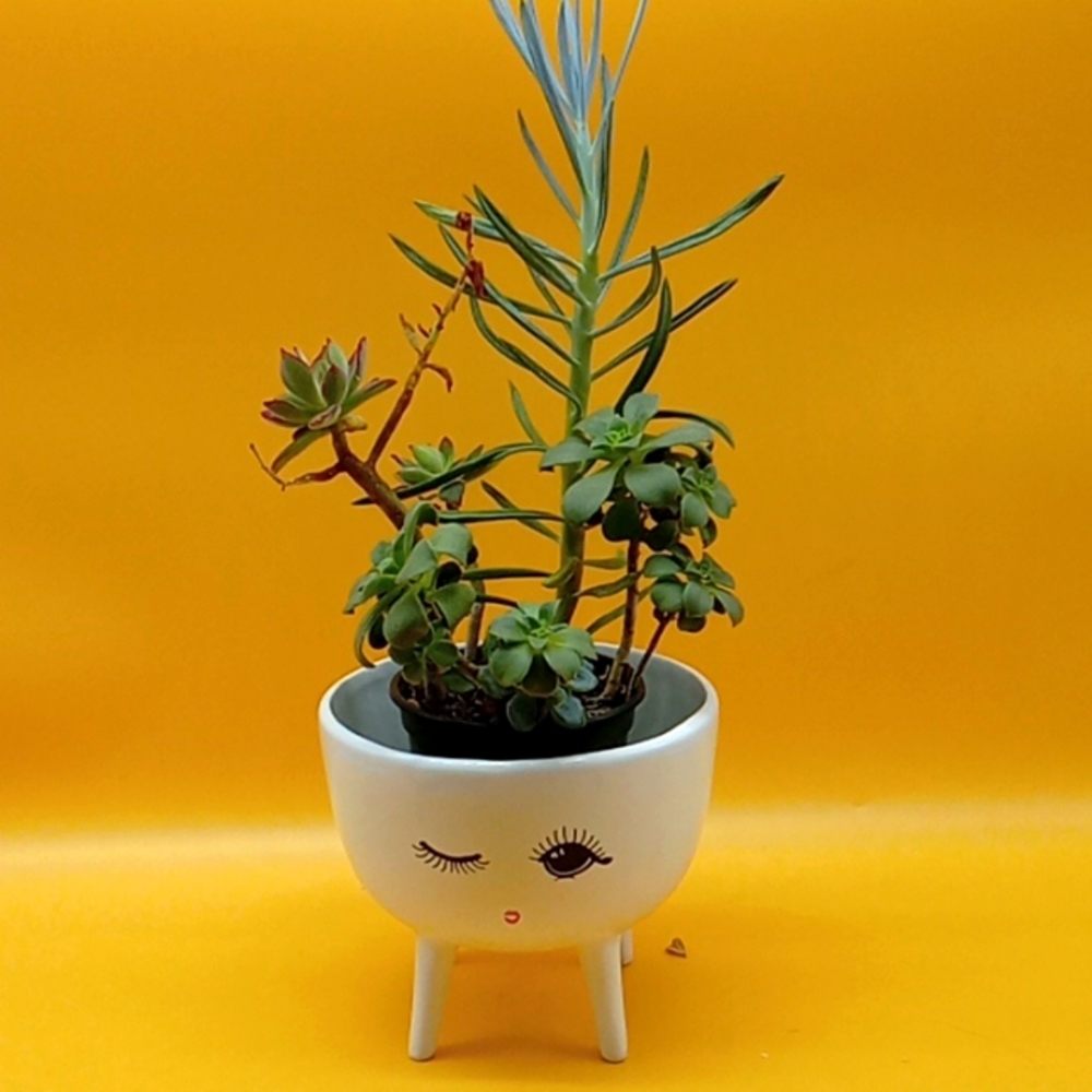 Ceramic Planter - Picture 2 of 9